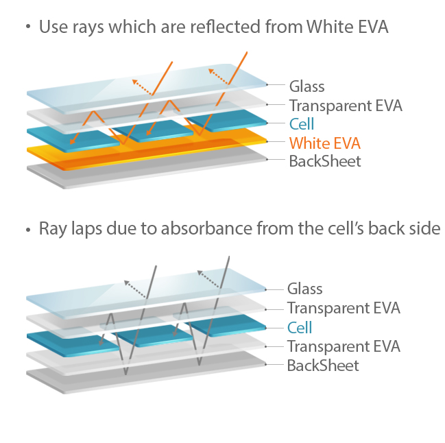 UV ray